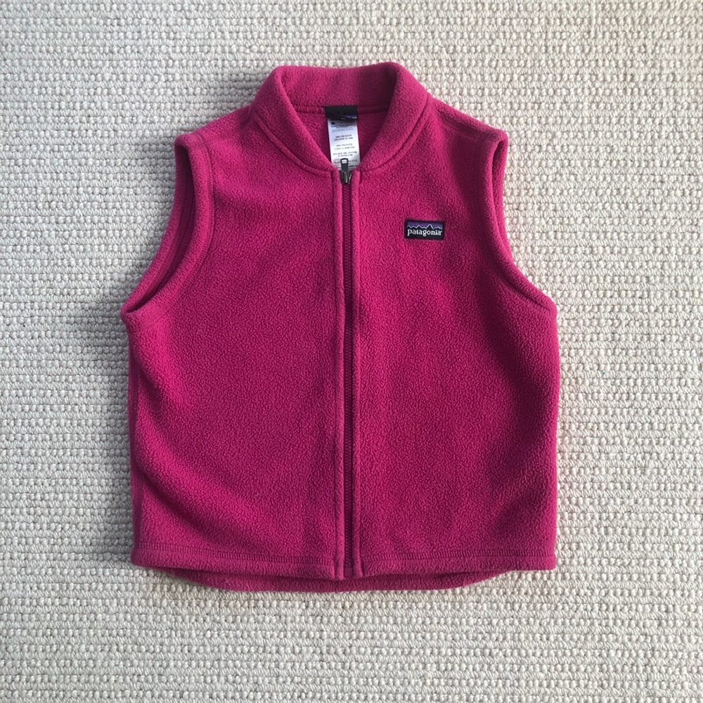 Patagonia Synchilla Fleece Vest